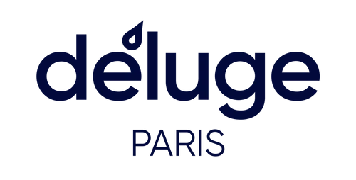 Déluge Paris